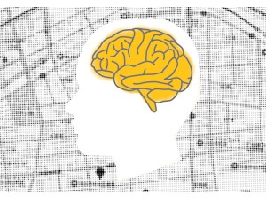 「思考は現実化する」は本当なのか？ 脳科学が明かす“引き寄せ”の仕組み